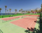 Terenuri de tenis