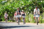 Biciclete