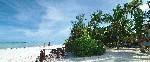 Plajă