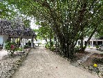 Gradina