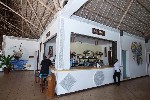 Hotel Jaz Adonia Beach Resort