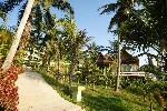 Hotel Palm Paradise Hotel