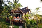 Hotel Palm Paradise Hotel