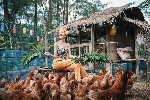 Hotel Apsara Beachfront Resort and Villa