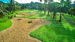 Teren de golf