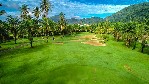 Teren de golf