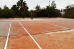 Tenis