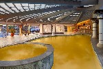 Hotel Sianji WellBeing Resort Detox Programs