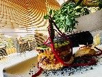 Hotel Sianji WellBeing Resort Detox Programs