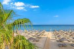 Plajă