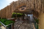 Cafeneaua Palmiye