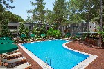 Hotel Balmy Foresta