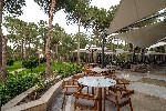 Hotel Balmy Foresta