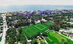 Terenuri de tenis