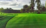 Teren de golf