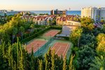 Tenis