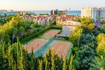 Tenis