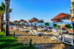 Plajă