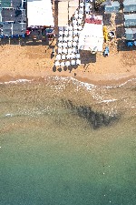 Plajă