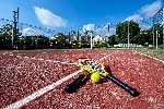 Tenis