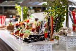 Hotel Avena Resort & Spa Hotel