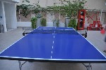 Ping pong