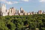 Hotel The Ritz-Carlton New York, Central Park