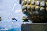 Hotel Intercontinental Phu Quoc Long Beach Resort