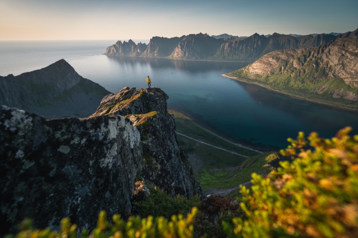 Best of Scandinavia