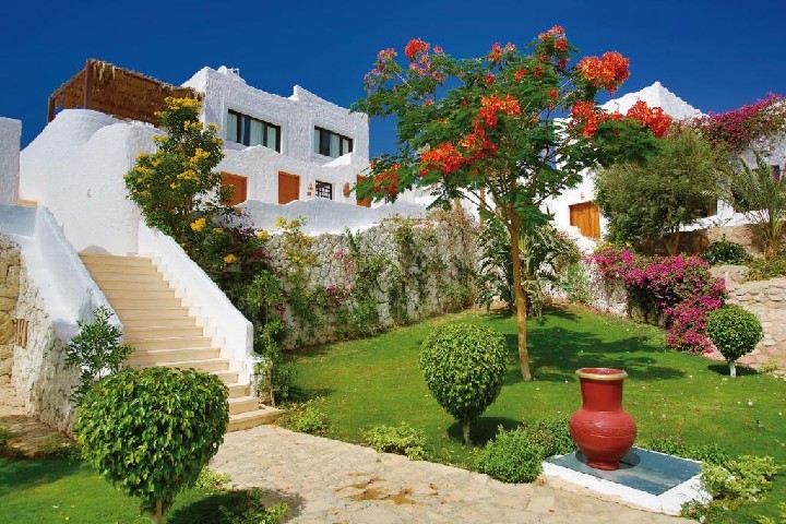 Sharm Club Resort – fotka 4