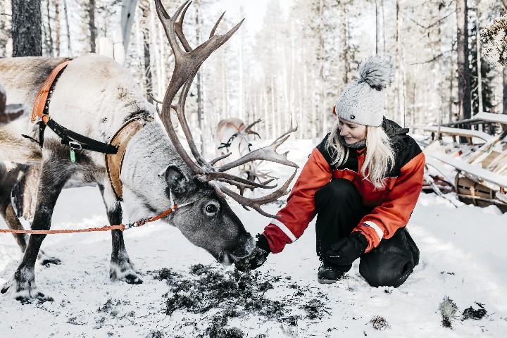 Charter Laponia Design Hotel Levi – fotka 3