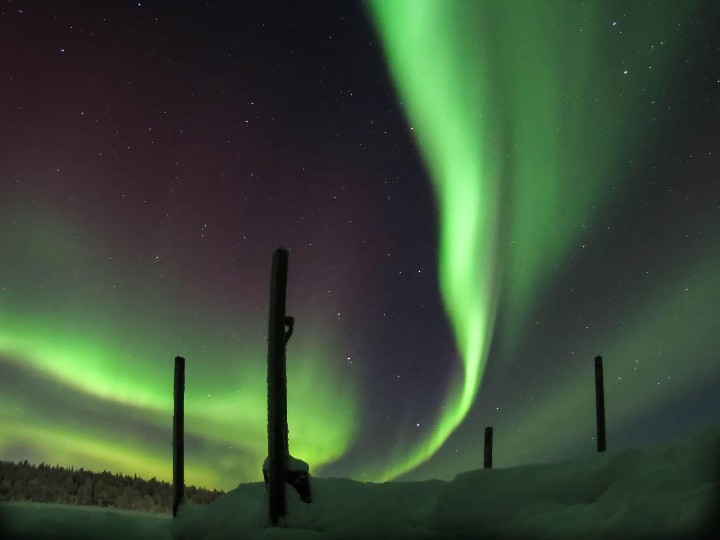 Charter Laponia Postmaster by StayLapland – fotka 3