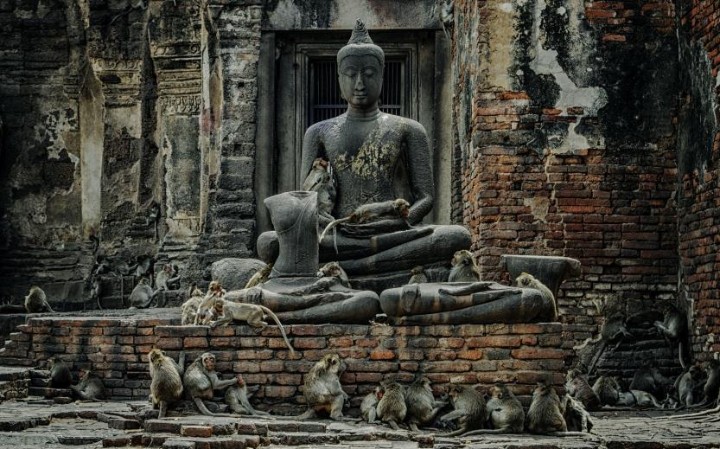 CIRCUIT EXPLORE INDIA-NEPAL