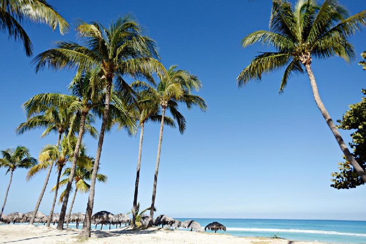 Hotel Starfish Cuatro Palmas
