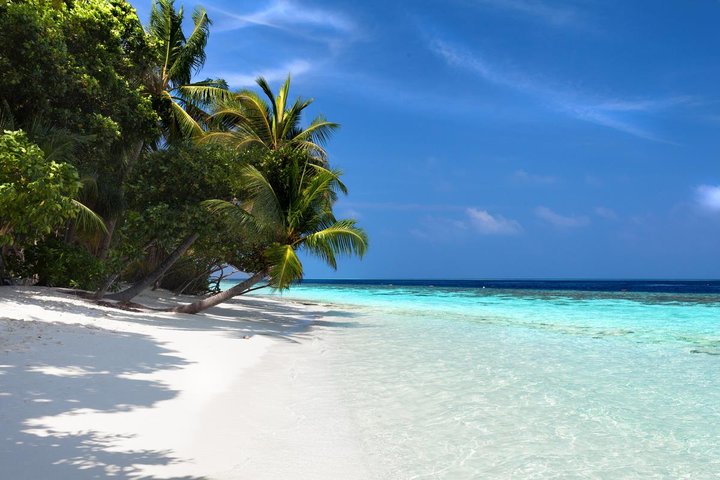 Vilamendhoo Island Resort & Spa – fotka 5