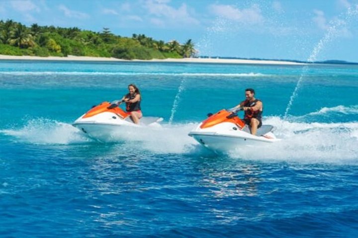 Triton Exotica – fotka 4
