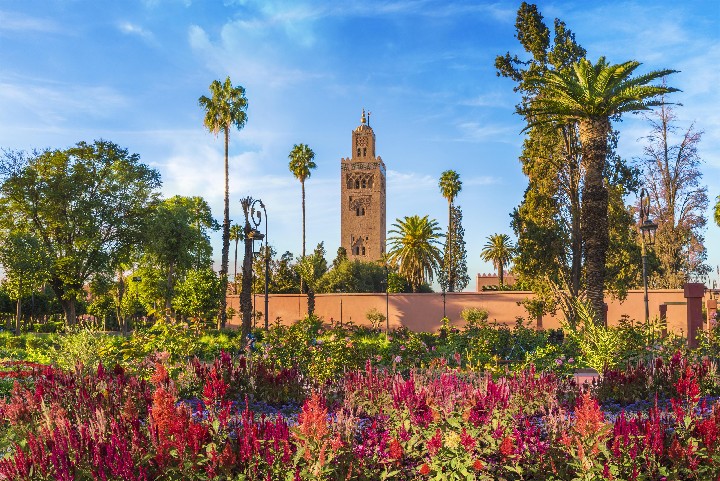 Revelion Maroc- Farmecul African