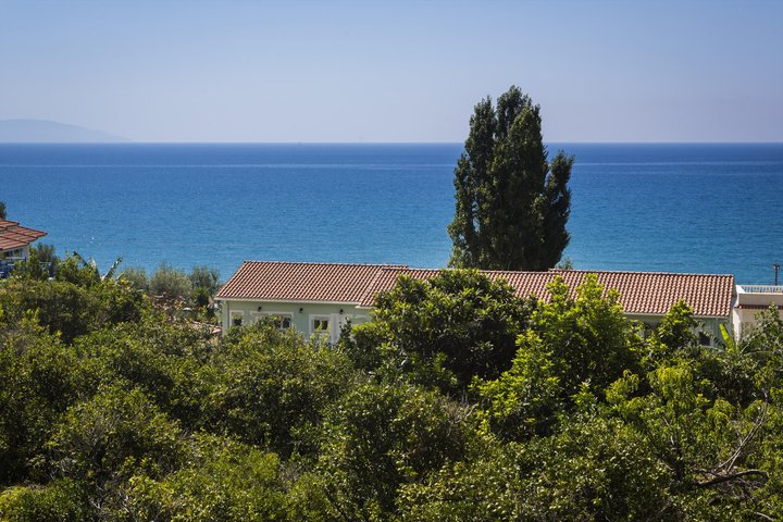 Imprejurimile hotelului 
