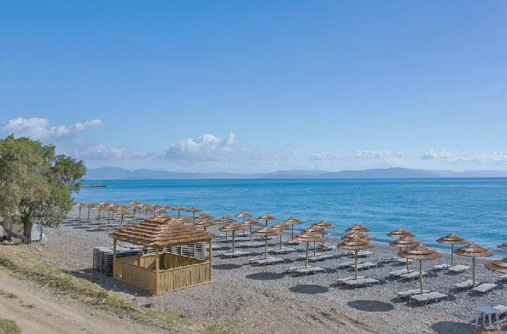 Plajă