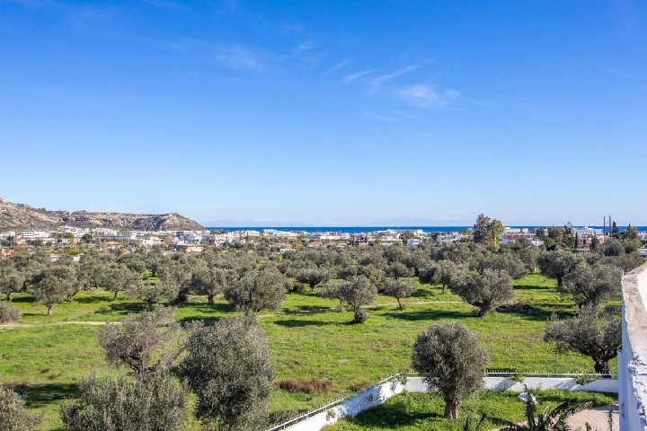 Imprejurimile hotelului 