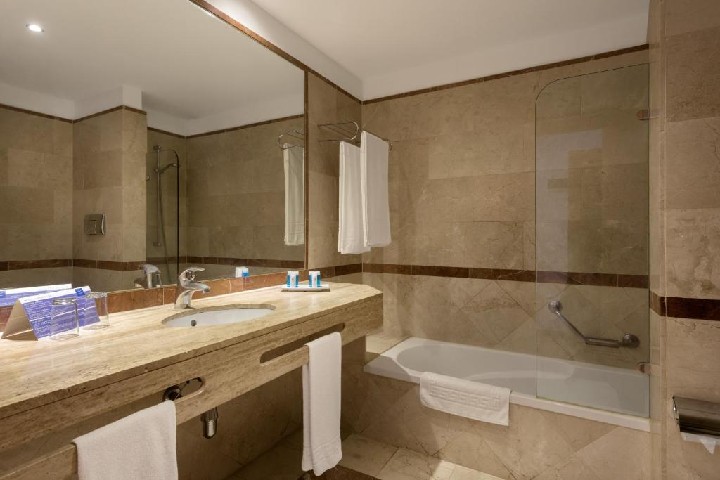 Hotel Gran Hotel Costa del Sol