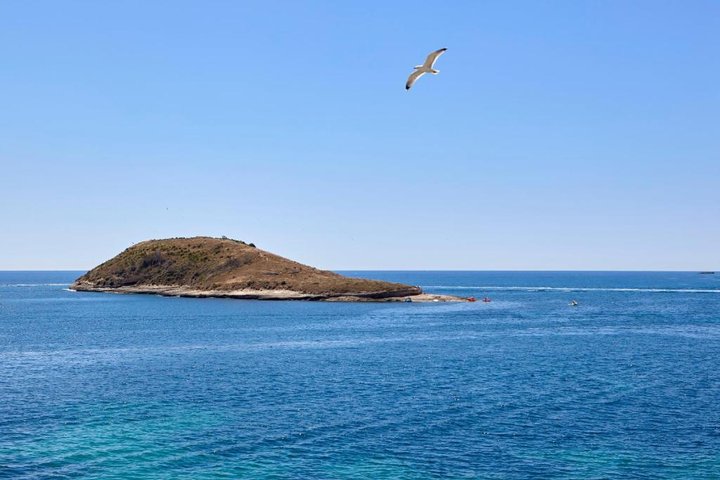 Imprejurimile hotelului 