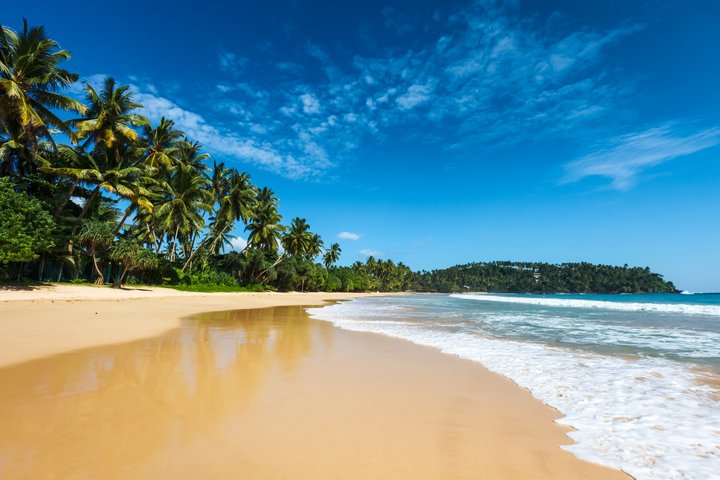 Hotel Circuit Revelion Sri Lanka-Circuit Safari si Sejur la Oceanul Indian