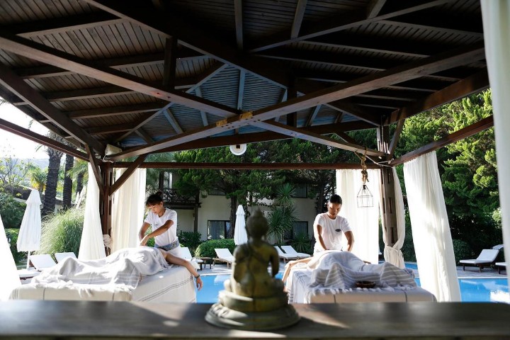 Wellness